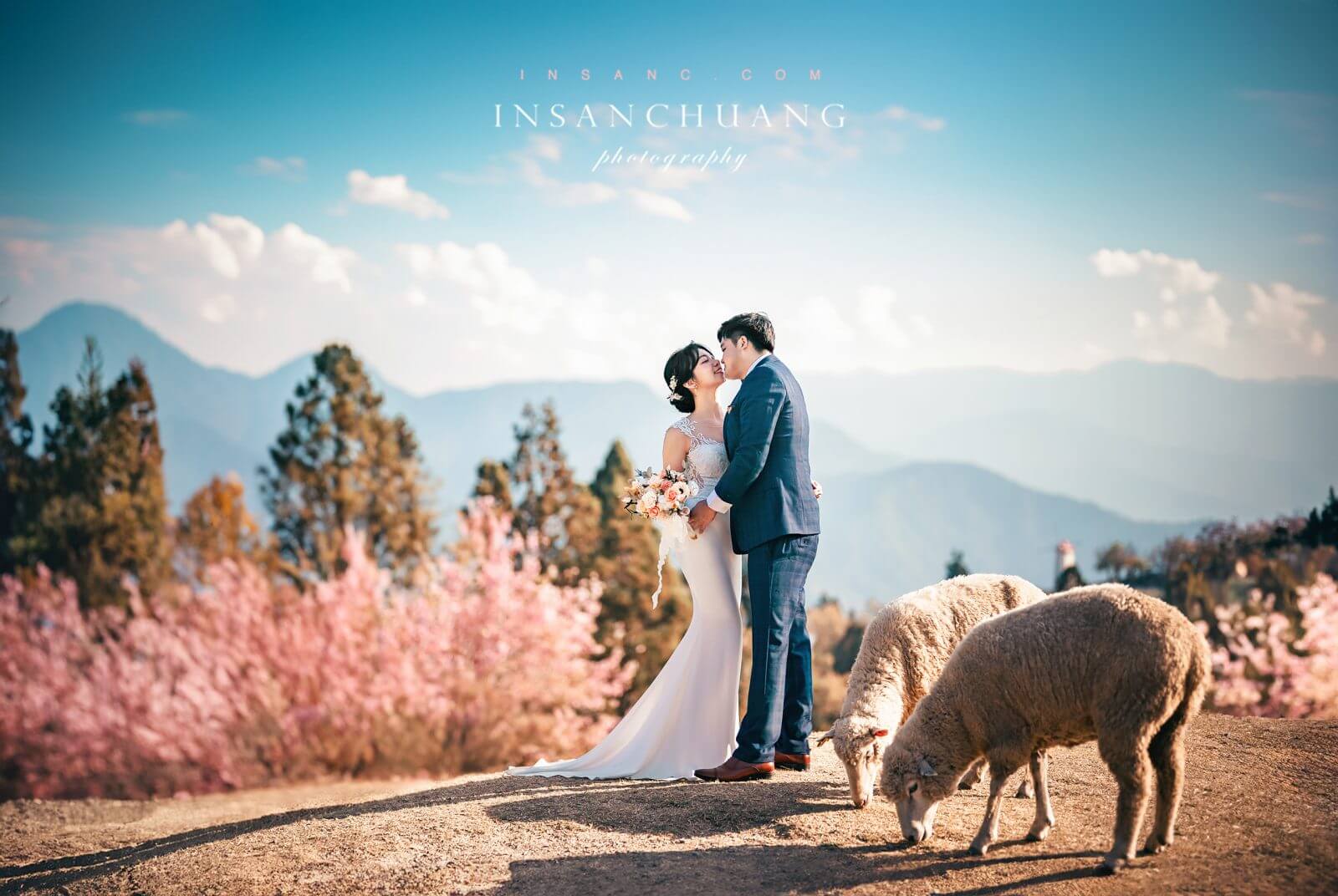 {婚攝英聖 |自主婚紗 }宗軒+芷伶合歡山婚紗-高山婚紗-星空日出婚紗攝影-青青草原-造型:朵咪