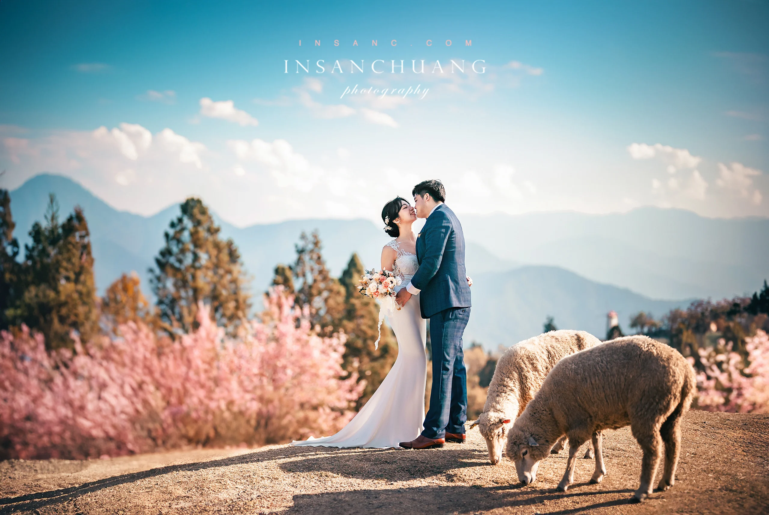 合歡山婚紗景點(合歡山群峰/老英格蘭/清境)-10個英聖婚紗攝影超美外拍景點|精華作品懶人包 208 合歡山婚紗景點(合歡山群峰/老英格蘭/清境)-10個英聖婚紗攝影超美外拍景點|精華作品懶人包 婚攝英聖