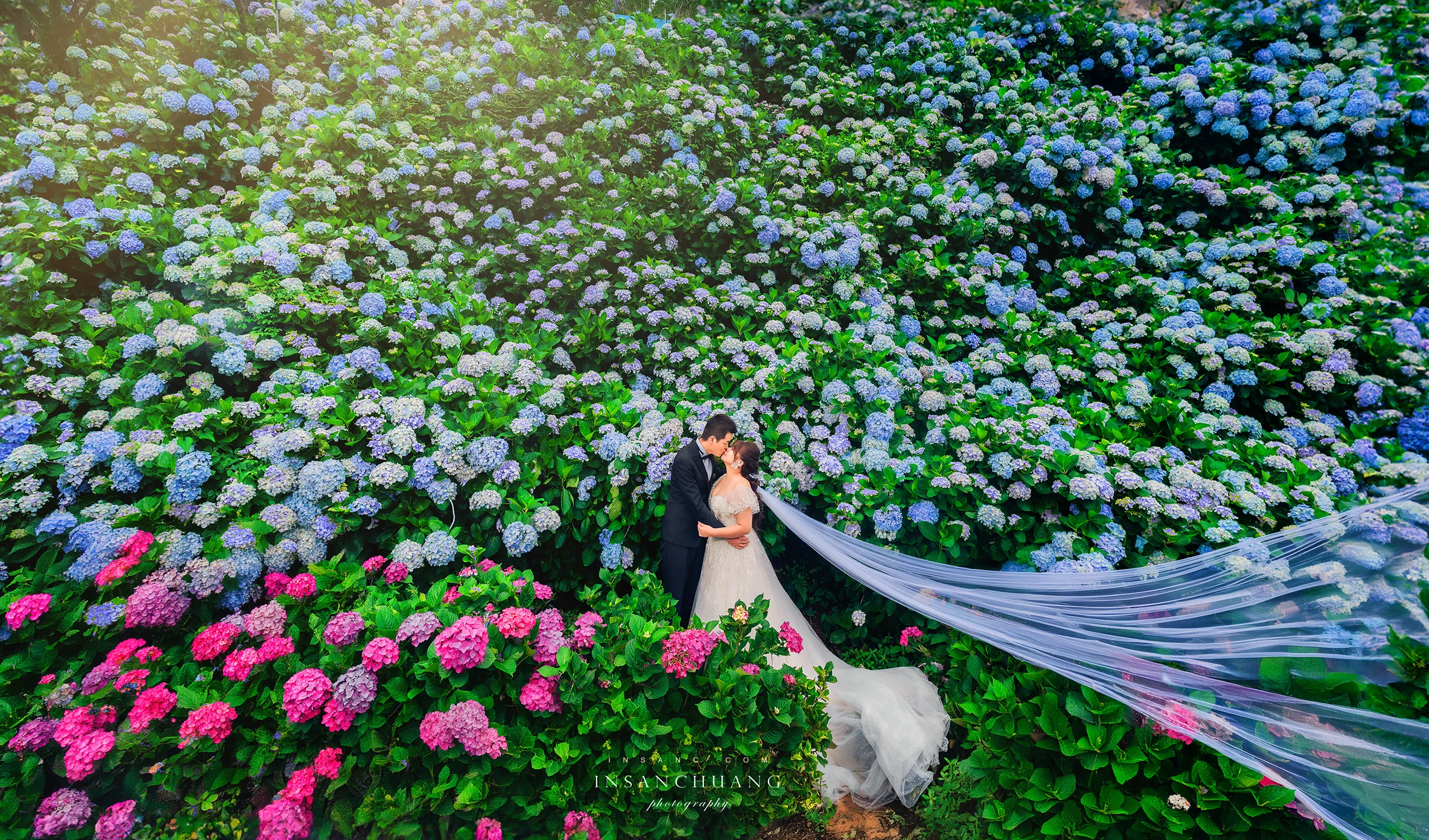 {婚攝英聖 |自主婚紗}小賴+佳筠季節限定繡球花婚紗-萬里高家繡球花第三園區-神秘海岸-造型:晼屏 婚攝英聖
