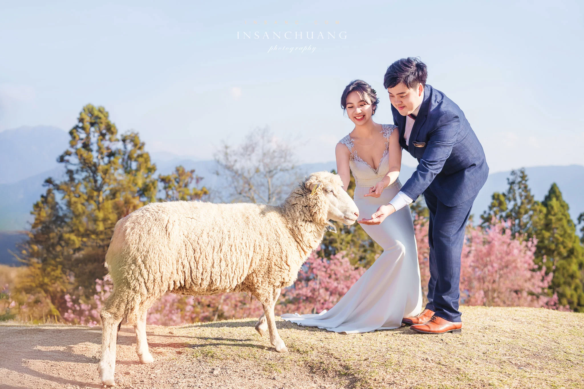 {婚攝英聖 |自主婚紗 }宗軒+芷伶合歡山婚紗-高山婚紗-星空日出婚紗攝影-青青草原-造型:朵咪 婚攝英聖