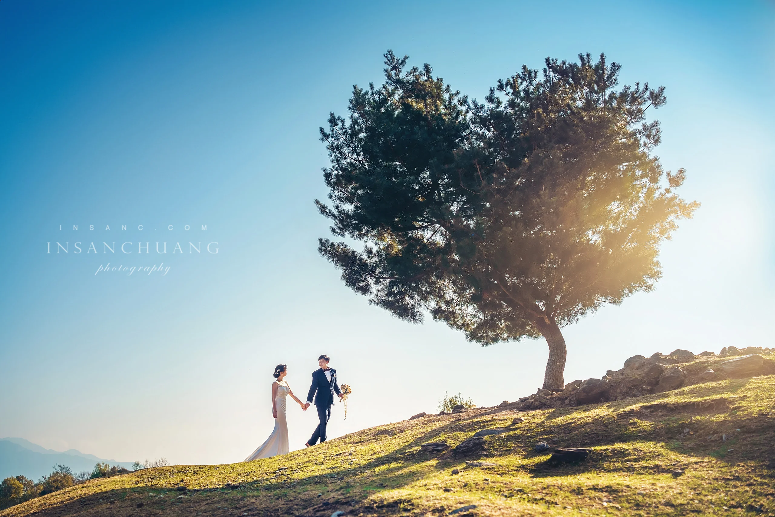 {婚攝英聖 |自主婚紗 }宗軒+芷伶合歡山婚紗-高山婚紗-星空日出婚紗攝影-青青草原-造型:朵咪 婚攝英聖
