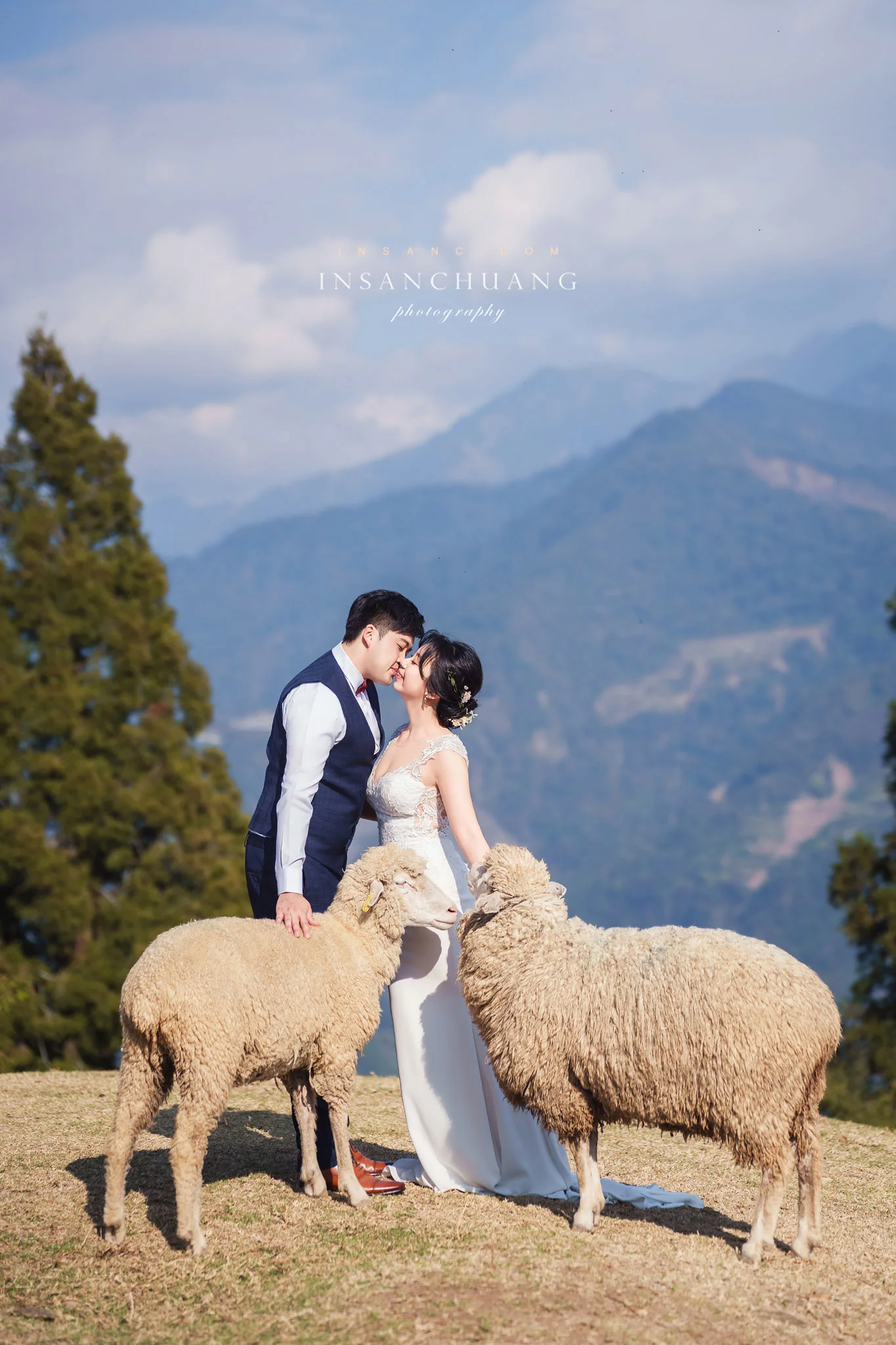 {婚攝英聖 |自主婚紗 }宗軒+芷伶合歡山婚紗-高山婚紗-星空日出婚紗攝影-青青草原-造型:朵咪 婚攝英聖